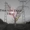 Thirteen Dead Trees's Photo