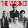 Photo de The Vaccines